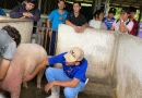 Matagala, INATEC, estudiantes, Estelí, técnicas de inseminación artificial, porcina, Matagalpa, intercambio,