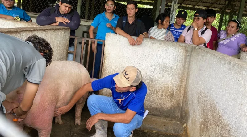Matagala, INATEC, estudiantes, Estelí, técnicas de inseminación artificial, porcina, Matagalpa, intercambio,