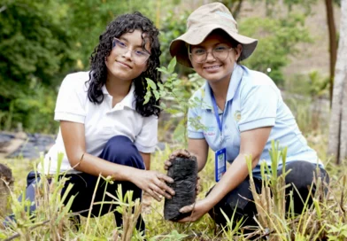 nicaragua, marena, bosawas,