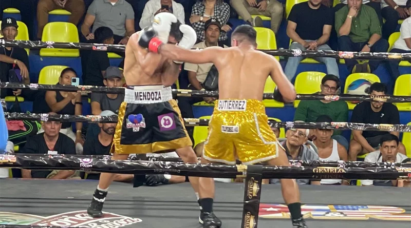 nicaragua, deportes, boxeo, gemelo promotion,
