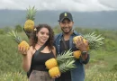 nicaragua, piñas, piña, ticuantepe, managua, fincas,