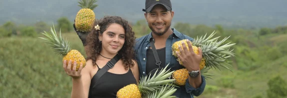 nicaragua, piñas, piña, ticuantepe, managua, fincas,