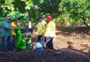 gobierno sandinista, producción, instalaciones de viveros, Nicaragua,