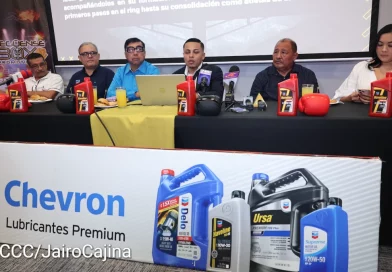 deporte, boxeo, promotora, Nicaragua,