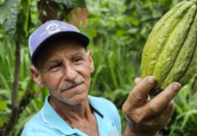 producción de cacao. nicaragua, gobierno de nicragua, Nicaragua,