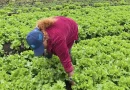 nicaragua, matagalpa, inta,