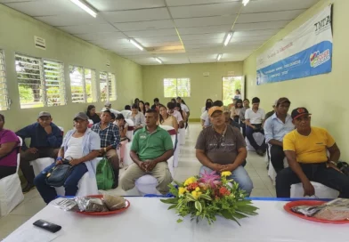 inta, nicaragua, viveros, nueva guinea,