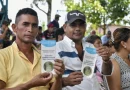 nicaragua, ipsa, agropecuario.