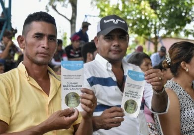 nicaragua, ipsa, agropecuario.