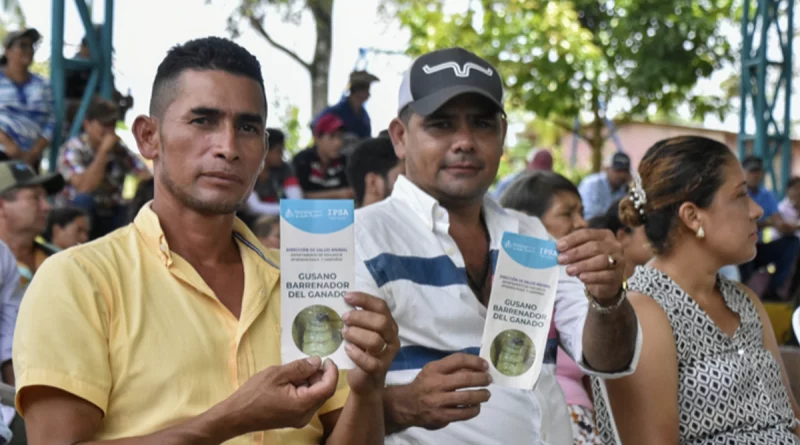 nicaragua, ipsa, agropecuario.