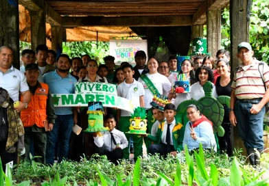vivero comandante carlos fonseca, bluefields, movimiento guardabarranco, costa caribe sur, reforestación, marena