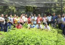 nicaragua, marena, chinandega,