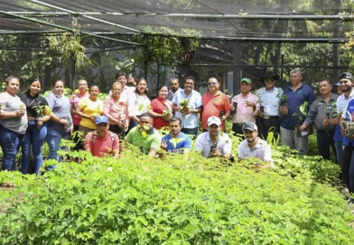 nicaragua, marena, chinandega,