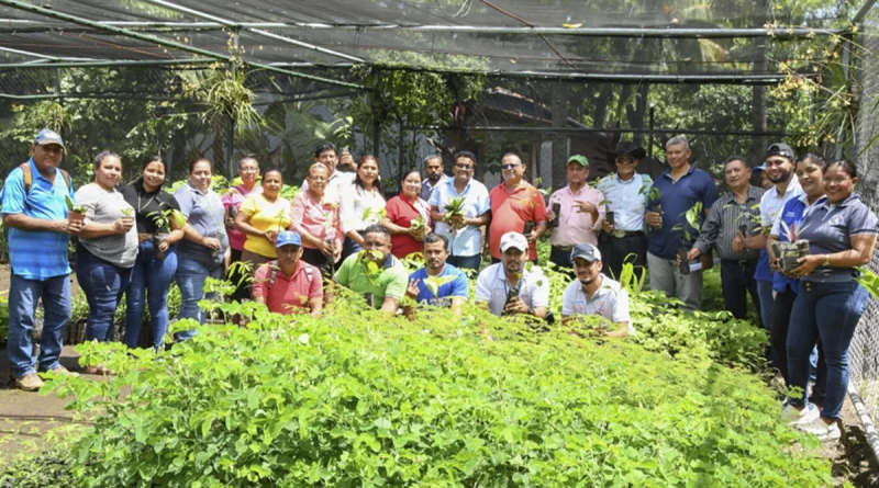 nicaragua, marena, chinandega,