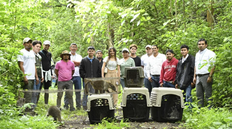 marena, especies, liberacion, volcan masaya,