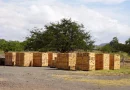 industria forestal, marena, tipitapa, nicaragua
