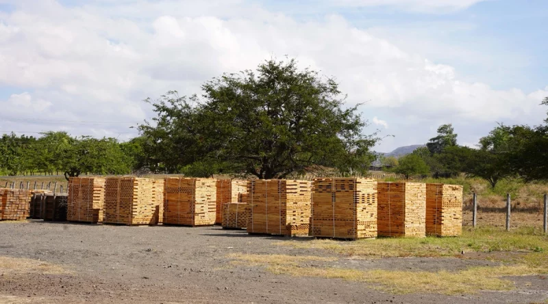 industria forestal, marena, tipitapa, nicaragua