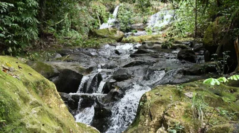 marena, nicaragüa,empresa de energía fortalecen uso De Fuentes renovables, Nicaragua,
