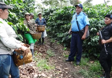 Policía Nacional, Policía, Nicaragua, seguridad en el campo, Plan de Seguridad Ciudadana, junio,