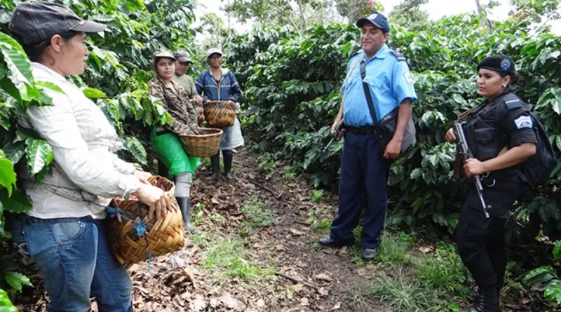 Policía Nacional, Policía, Nicaragua, seguridad en el campo, Plan de Seguridad Ciudadana, junio,
