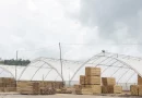 madera, gobierno de nicaragua, marena, economia,