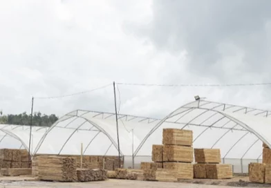 madera, gobierno de nicaragua, marena, economia,