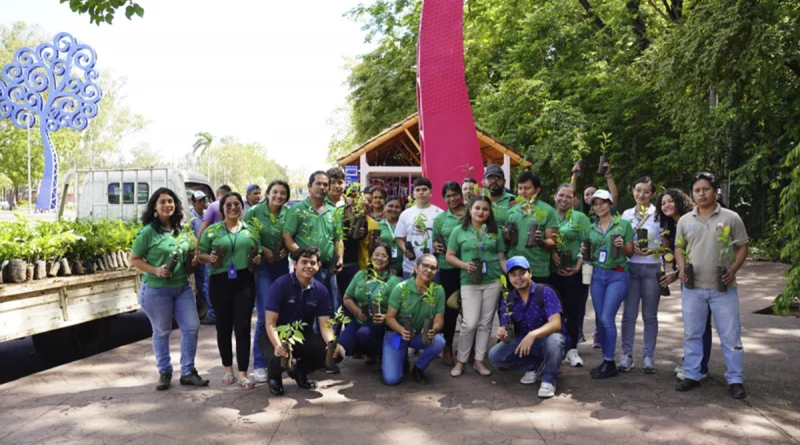 nicaragua, dia del arbol, reforestacion, marena,