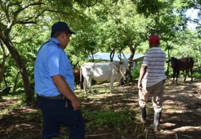 Policía Nacional , nicargua, plan de seguridad, nicragau,