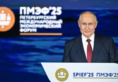 El presidente de Rusia, Vladímir Putin, Presidente Putin, Foro Económico Internacional de San Petersburgo, intervención, mensaje, sesión plenaria, objetivos de Rusia, ámbito internacional,