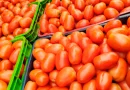 tomate, junio 2025, nicaragua, mercados nicaragua
