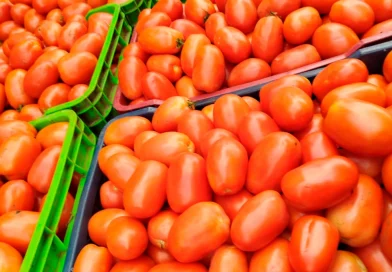 tomate, junio 2025, nicaragua, mercados nicaragua