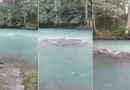 México,Veracruz, Río Atoyac, Ojo Chico, remolino, captan, viral, video, Amatlán de los Reyes, fenómeno natural,