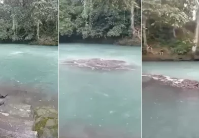 México,Veracruz, Río Atoyac, Ojo Chico, remolino, captan, viral, video, Amatlán de los Reyes, fenómeno natural,