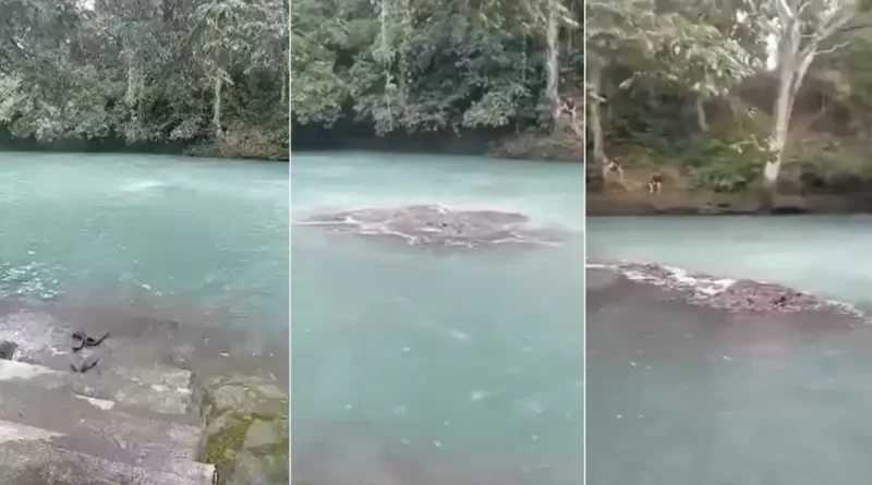 México,Veracruz, Río Atoyac, Ojo Chico, remolino, captan, viral, video, Amatlán de los Reyes, fenómeno natural,