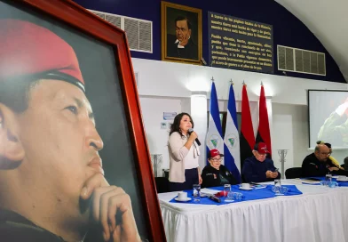 asamblea nacional, comandante chavez, natalicio,