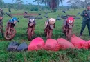 ejercito de nicaragua, nicaragua, servicios operativos