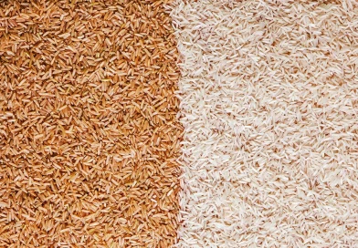 arroz, beneficios, arroz integral, arroz blanco, dieta, salud, diferencias, más saludable,