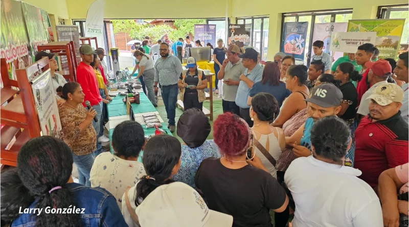 nicaragua, nueva segovia, inta, festival, arte barista,