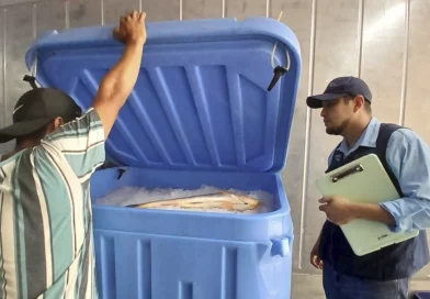 inpesca, chinandega, nicaragua, pesca,