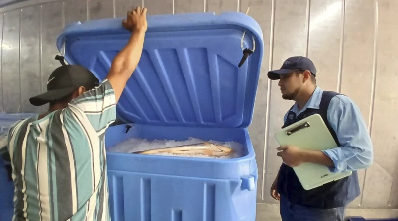 inpesca, chinandega, nicaragua, pesca,