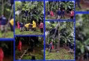 nicaragua, enacal, el rama,