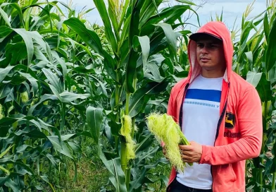 matagalpa,. gobierno de nicaragua, produccion agricola, usura cero, economia,