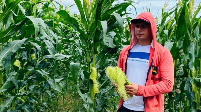 matagalpa,. gobierno de nicaragua, produccion agricola, usura cero, economia,
