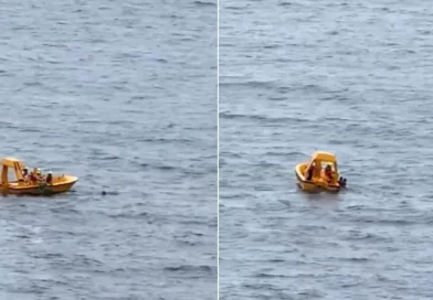 héroe, alta mar, padre rescata, Disney Dream, rescatar a su hija, cayó accidentalmente, borda, alta mar, crucero, crucero Disney, salva,