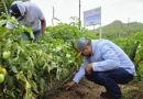 inda, nicaraGUa, gobierno de Nicaragua, totogalpa, regó sostenible,