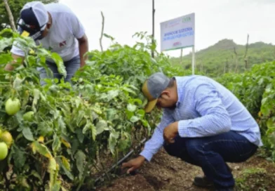 inda, nicaraGUa, gobierno de Nicaragua, totogalpa, regó sostenible,