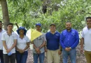 ipsa, nicaragua, gusano barrenador,
