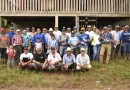 nicaragua, ipsa, gusano barrenador,