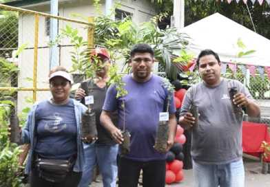 marena, julio victorioso, entrega plantas,