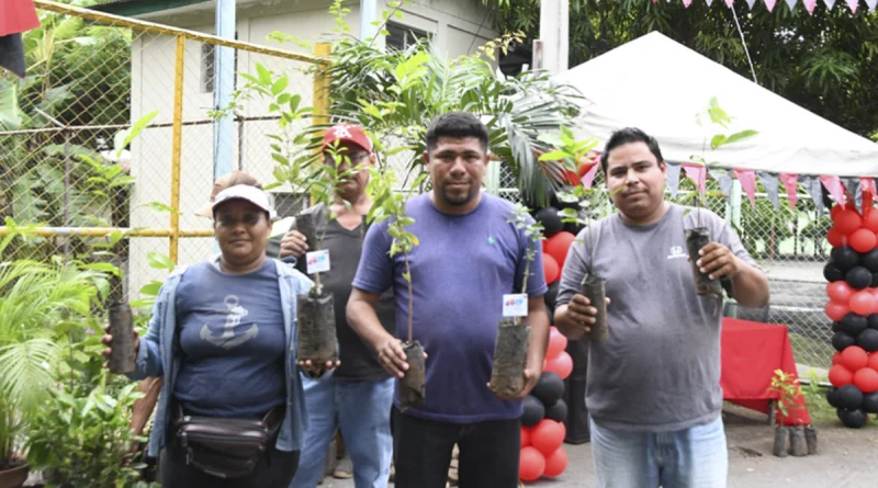 marena, julio victorioso, entrega plantas,
